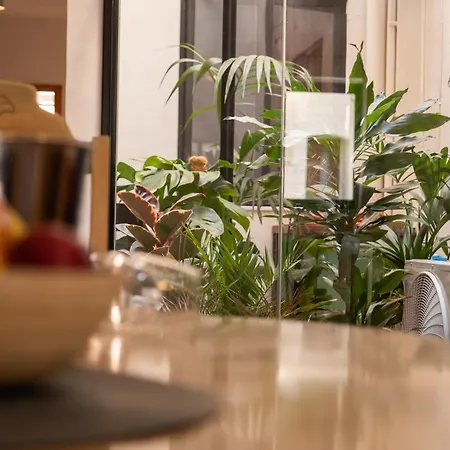 Atrium 3 Bedroom 2 Bath Family Apartment