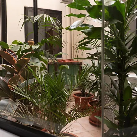 Atrium 3 Bedroom 2 Bath Family Apartment *