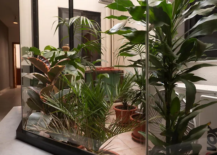 Atrium 3 Bedroom 2 Bath Family Appartement *